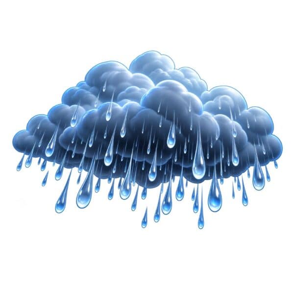 Rain - £500