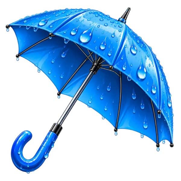 Umbrella - £50